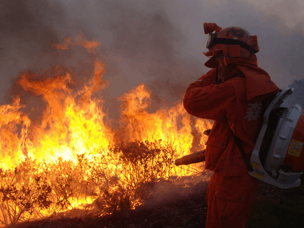 Emergency Communications for Chinese Fire and Rescue teams