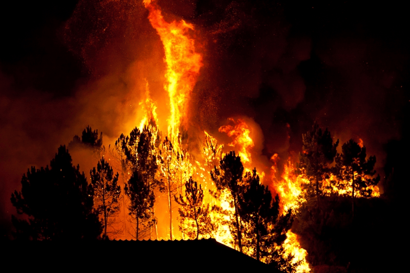 HF Radio with bush fire situation